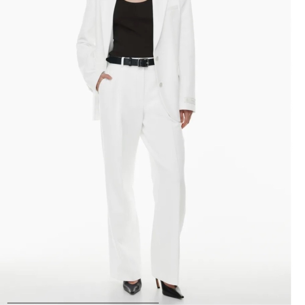 babaton pleated pant